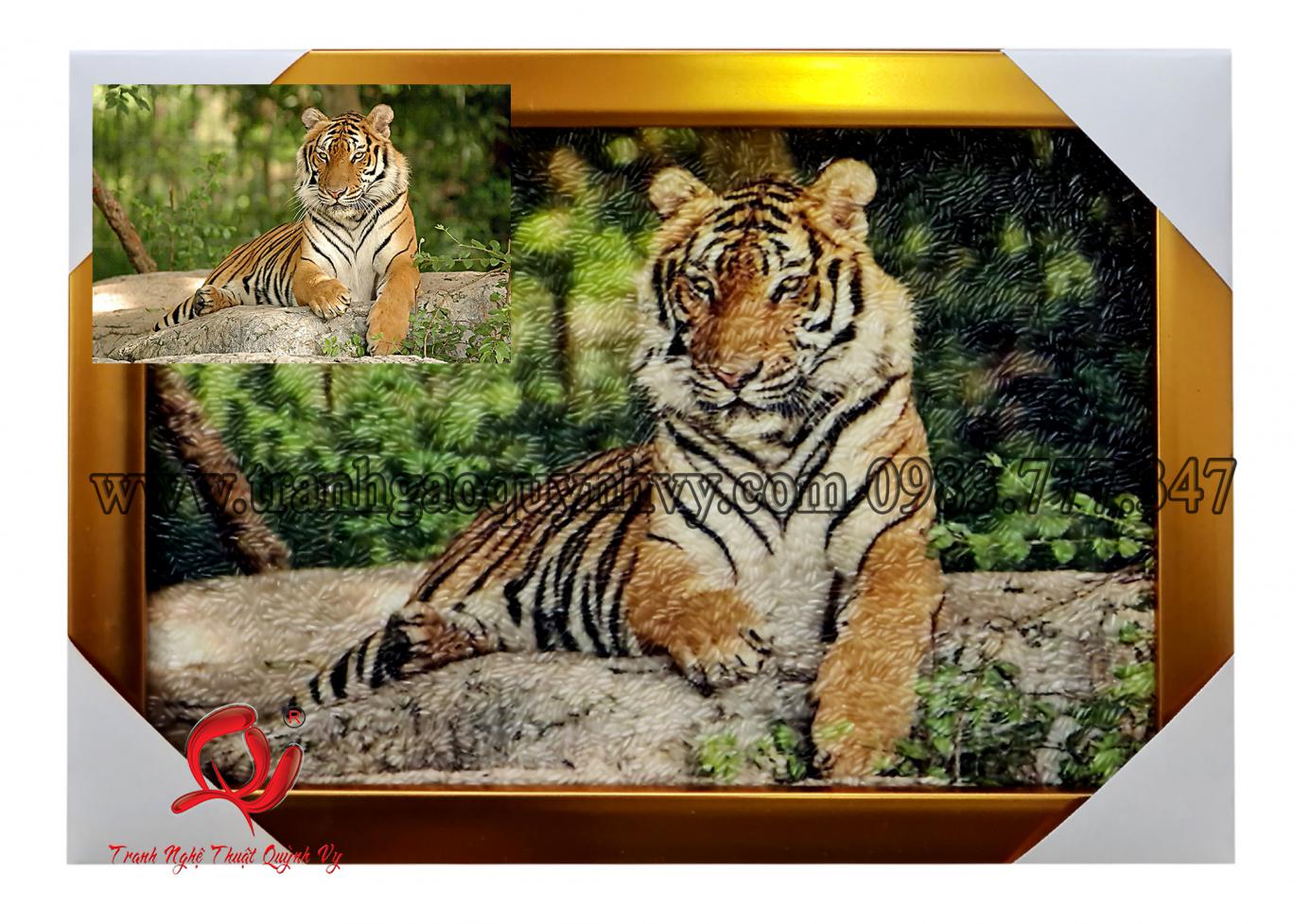 Tranh Mẫu Cọp 03-2022 - 20 x 30
